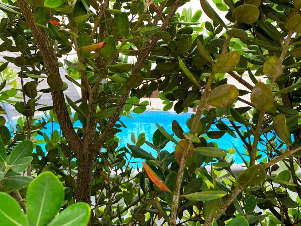 Beachliving Cabana Villa Esmoriz Exteriör bild